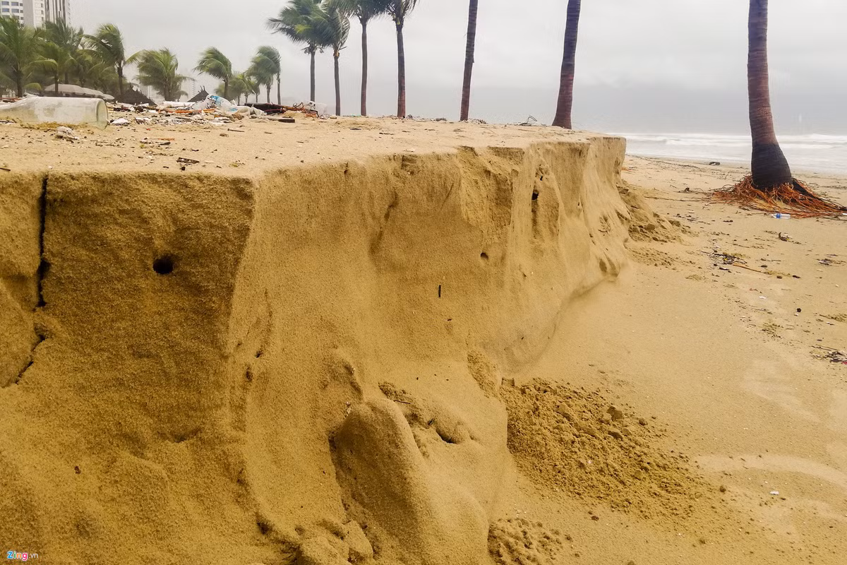 Rac ngap bai bien Da Nang sau mua lut-Hinh-9