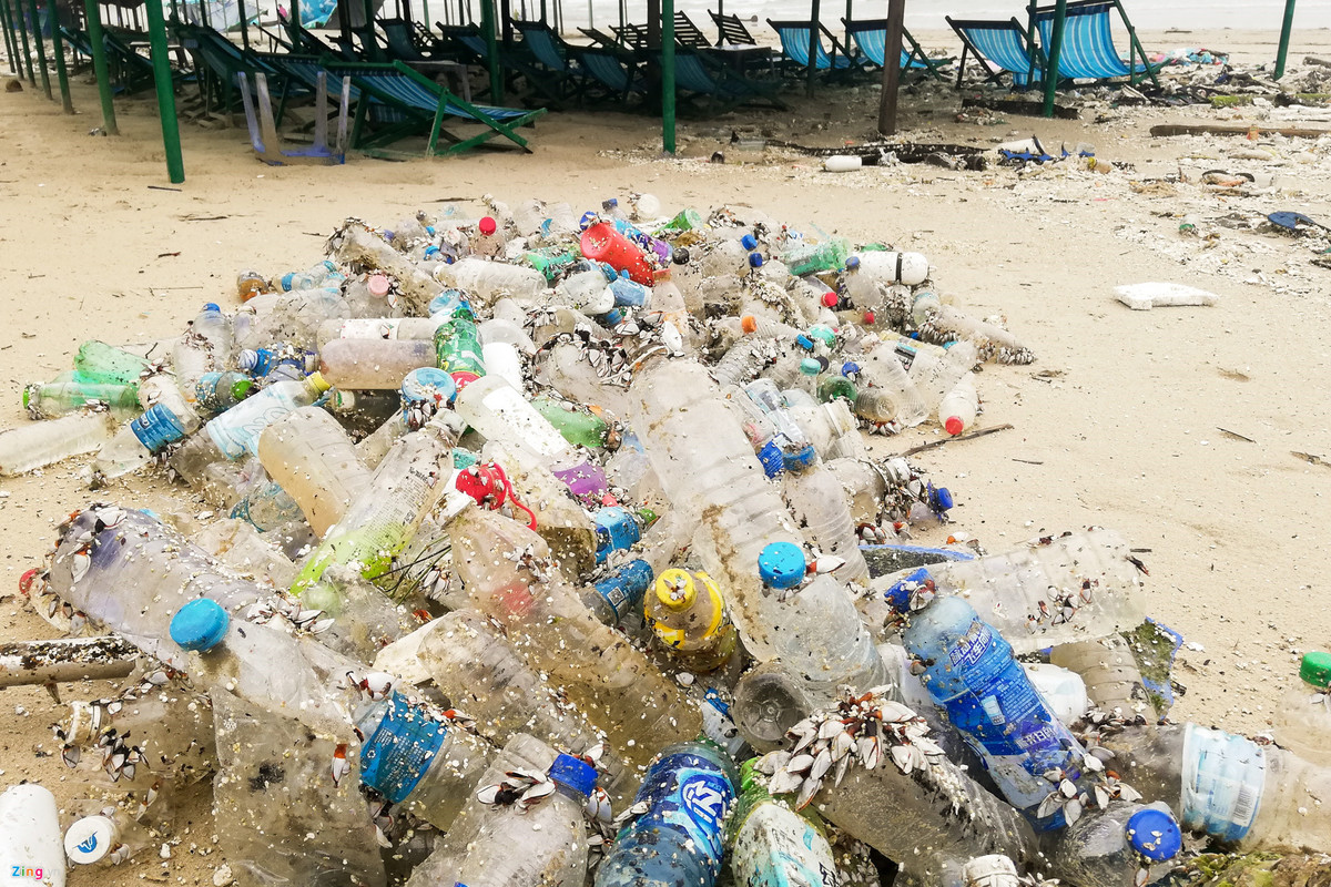 Rac ngap bai bien Da Nang sau mua lut-Hinh-6