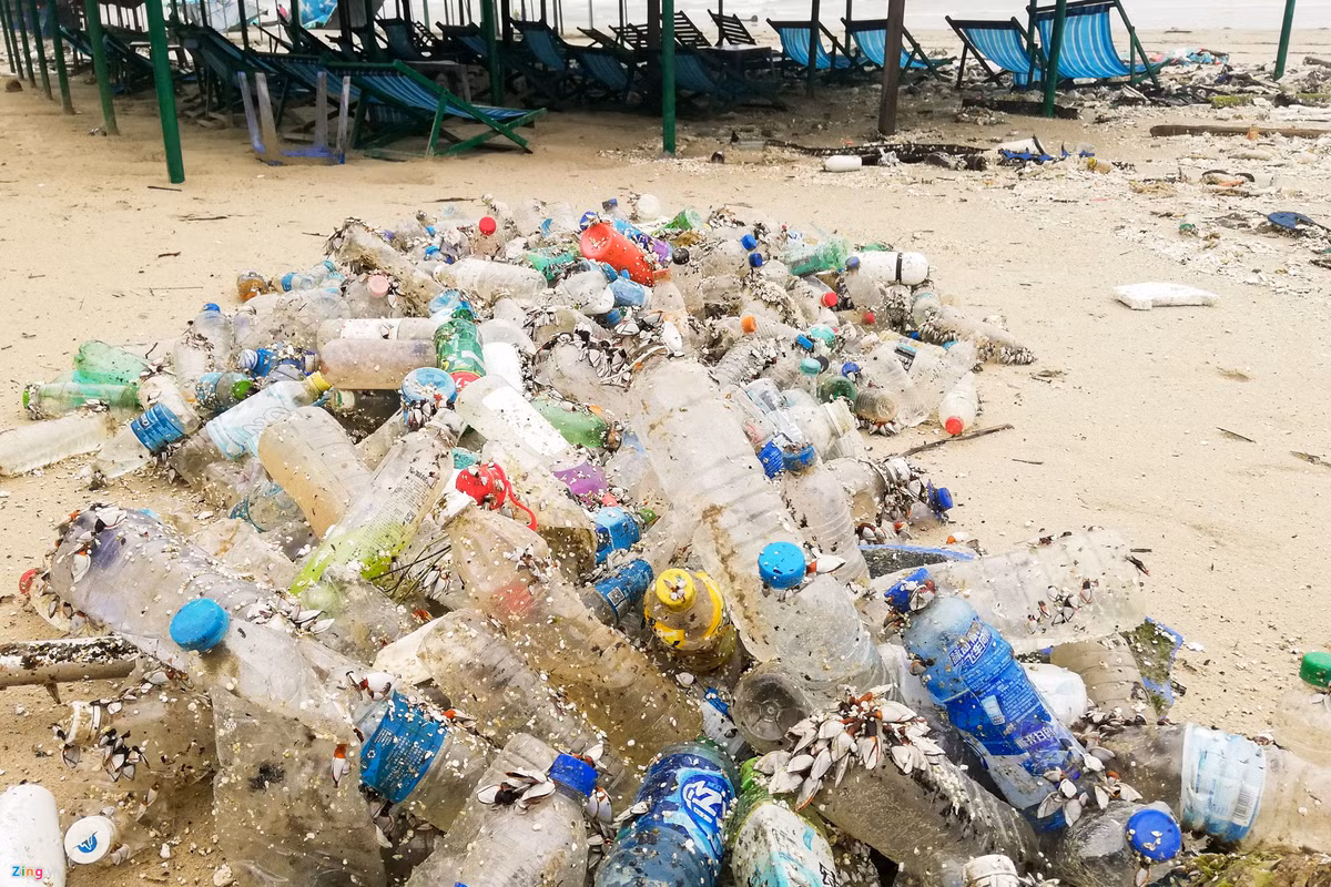 Rac ngap bai bien Da Nang sau mua lut-Hinh-6