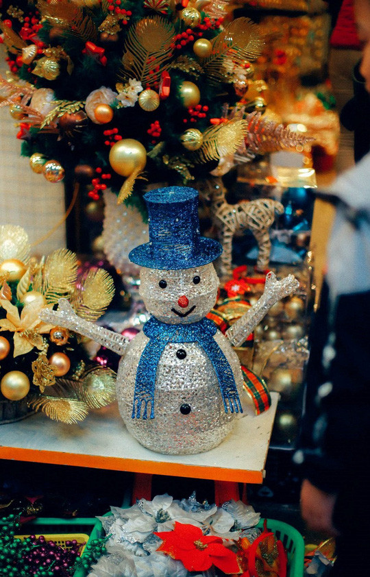 Ngam net co kinh Ha Noi qua nhung con pho nghin nam tuoi-Hinh-39