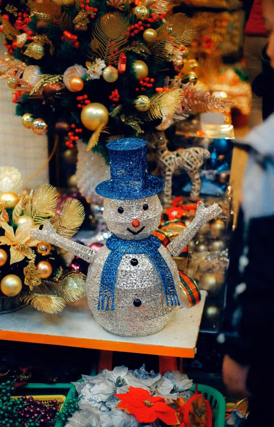 Ngam net co kinh Ha Noi qua nhung con pho nghin nam tuoi-Hinh-39