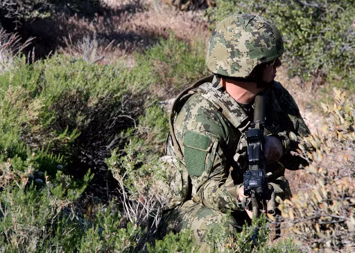 Khác với quân phục ngụy trang kiểu cũ, kiểu ngụy trang digital theo kiểu "dung hòa màu sắc" thậm chí còn khiến bộ quân phục có khả năng ngụy trang hiệu quả ở nhiều môi trường khác nhau chỉ với một bộ quần áo duy nhất. Nguồn ảnh: Pinterest.