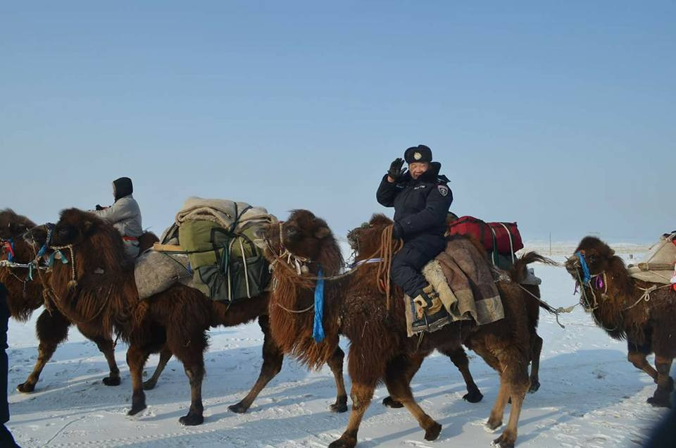 Đôi khi, lính biên phòng Mông Cổ thậm chí còn sử dụng cả lạc đà - loại phương tiện đã được người dân nước này sử dụng từ hàng nghìn năm nay. Nguồn ảnh: BMDP.
