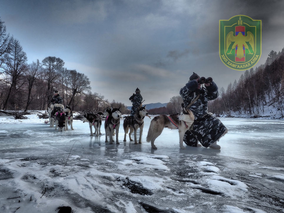 Lính Mông Cổ tuần tra biên giới với chó nghiệp vụ - loại chó này thậm chí còn được sử dụng vào nhiệm vụ kéo xe. Nguồn ảnh: BMDP.