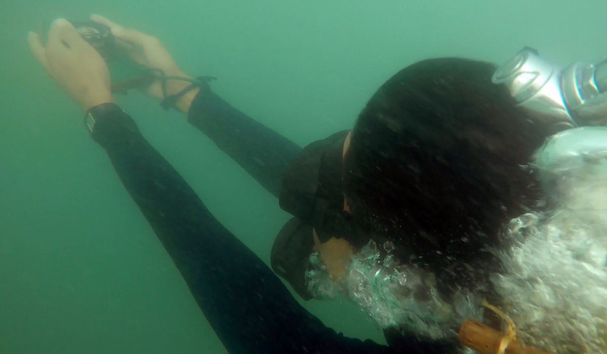 Các chiến sĩ đặc công của Việt Nam có thể lực hơn người với khả năng bơi thậm chí hàng chục kilomets trên biển để tiếp cận mục tiêu một cách bí mật. Nguồn ảnh: Danviet.