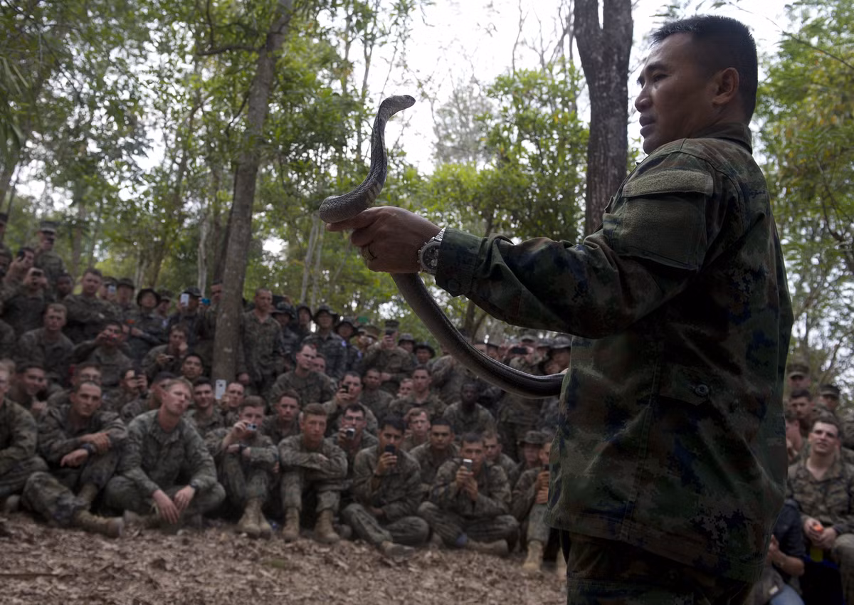 Thái Lan được coi là nơi để Mỹ có thể học tập được lối tác chiến và cách sinh tồn trong rừng rậm nhiệt đời - nơi đã khiến rất nhiều người Mỹ phải đau đầu đối phó trong Chiến tranh Việt Nam. Nguồn ảnh: Sina.
