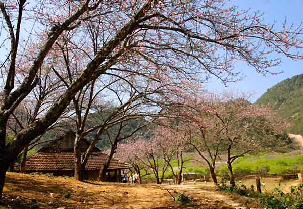 Ngoài thác Dải Yếm, tò mò với Hang Dơi..., bạn có thể chỉ đơn giản là lang thang khắp các con đường, ngắm bầu trời, đồi núi, những ngôi nhà nhỏ êm đềm và thưởng thức khí xuân.