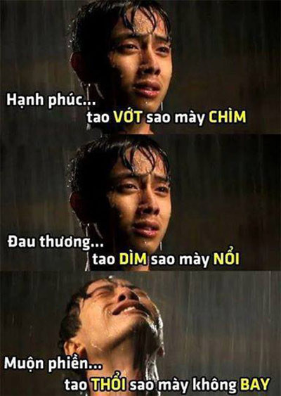 Cùng xem những bức ảnh chế về FA được dân mạng tâm đắc.