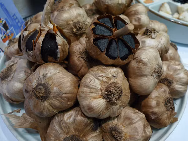 Bỏ ra tiền triệu để mua tỏi đen thì hơi buốt ruột. Bạn có thể tự làm lấy ở nhà, các công đoạn rất đơn giản.