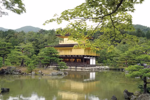 Chuyẹn lạ lùng ghi ỏ nuóc Nhạt