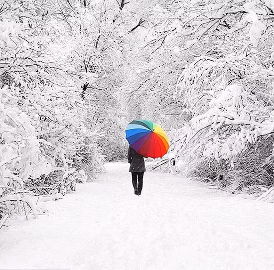 Màu sặc sỡ của chiếc ô nổi bật trên nên tuyết trắng. Đây là một trong những bức ảnh chụp bằng iphone được nhiều người thích nhất.