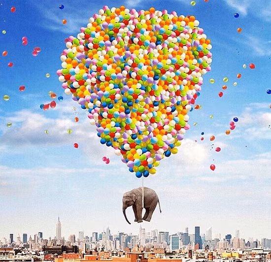 Thời gian chỉnh sửa một bức ảnh chụp bằng iphone nhanh nhất là 2 tiếng, lâu nhất có thể kéo dài đến vài ngày. Các sáng tạo của ông đều lấy từ loạt ảnh ông đi du lịch thế giới. 