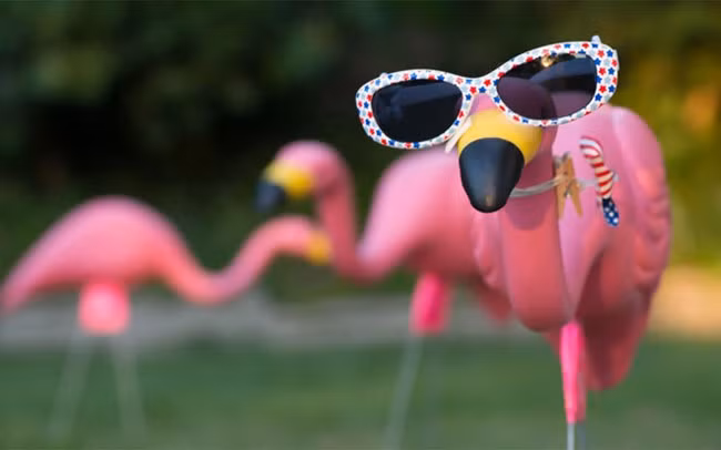 Allison Scott ở khách sạn Broadmoor, Colorado Springs tiết lộ: “Có một vị khách yêu cầu chúng tôi kiếm 100 con chim hồng hạc bằng nhựa. Chúng tôi không biết tại sao vị khách đó yêu cầu thế, và vị đó để chim hồng hạc khắp nơi trong phòng, từ bồn tắm, giường ngủ đến bàn làm việc”.