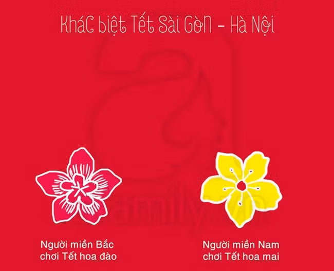 Ảnh ché vè sụ khác biẹt giũa Tét Sài Gòn và Hà Nọi-Hinh-9