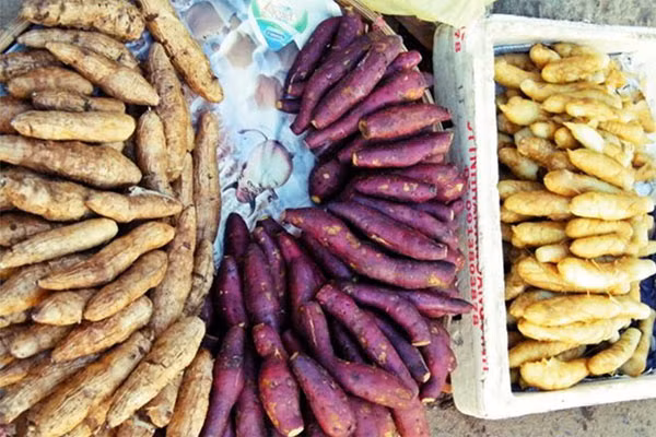 Giữa phố thị hiện đại, những trái bắp ngô, khoai lang luộc cũng là món quà sáng được yêu thíc. Món này bán nhiều trước các chợ hay dọc trên đường.