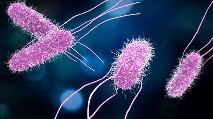 Nhiễm Salmonella: Khuẩn Salmonella là một vi khuẩn có trong phân và lây truyền qua nước ô nhiễm. Những người nhiễm khuẩn thường có triệu chứng tiêu chảy, ớn lạnh, đau bụng và sốt.