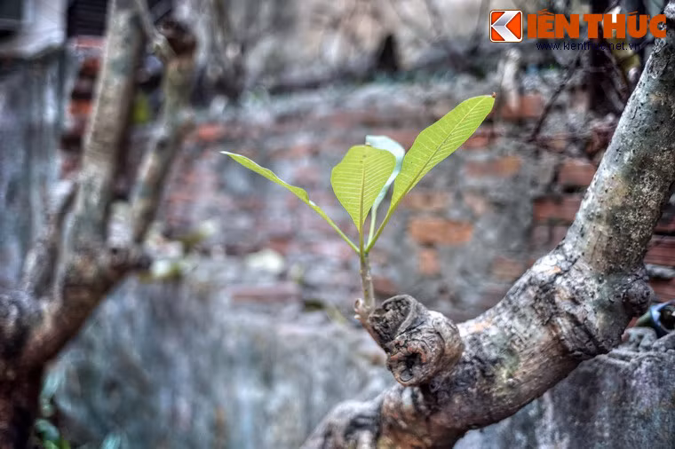 ...và quan trọng hơn là giá trị không thể đo đếm của sự bình yên mà đất nước Việt Nam đang có được trong ngày hôm nay.