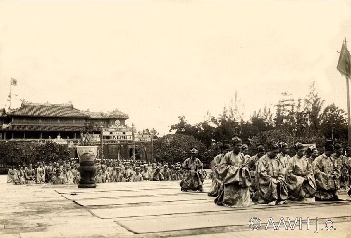 Các quan phẩm cấp thấp hơn tập trung ở cấp nền phía dưới. Ảnh: AAVH.