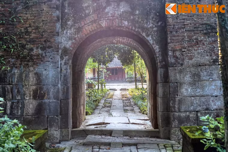 Ông đỗ nhất giáp chế khoa năm Giáp Dần 1554. Thời Lê Trang Tông năm 29 tuổi đậu Tiến sĩ. Ông là thầy giáo của hai vua Lê Anh Tông và Lê Thế Tông.