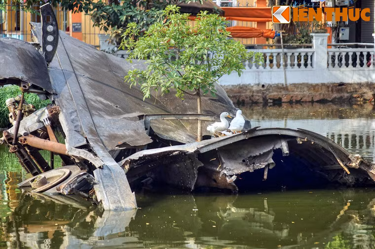 Cách đây vài năm, một cây lộc vừng đã mọc lên giữa xác chiếc máy bay, như biểu tượng cho sự chinh phục của cái thiện trước cái ác.