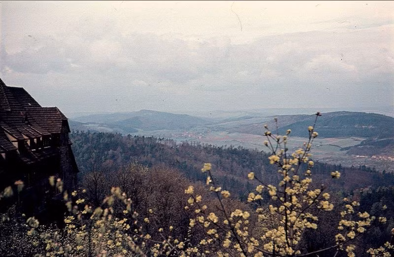 Khung cảnh nhìn từ lâu đài Wartburg. Ảnh: Normann Flickr.