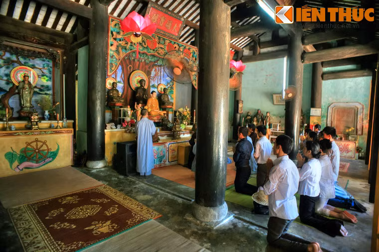 Các nhà nghiên cứu đánh giá, do được bảo tồn khá tốt, chùa Hải Tạng là nơi cung cấp các thông tin về nhiều lĩnh vực khoa học, về lịch sử hình thành, phát triển của khối cộng đồng cư dân Việt trên Cù lao Chàm.