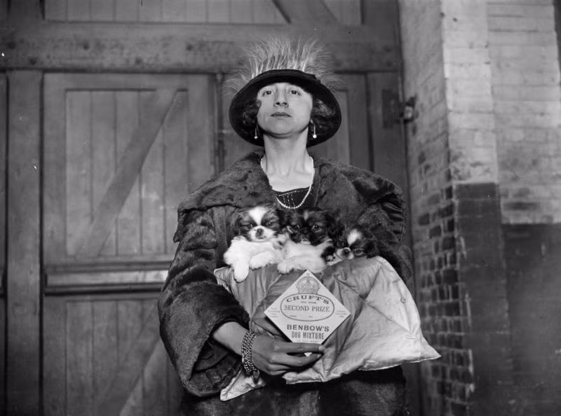 Bà Ivy Lord với những chú chó giống Bắc Kinh đạt giải giải nhì cuộc thi năm 1924. Ảnh: Vintag.