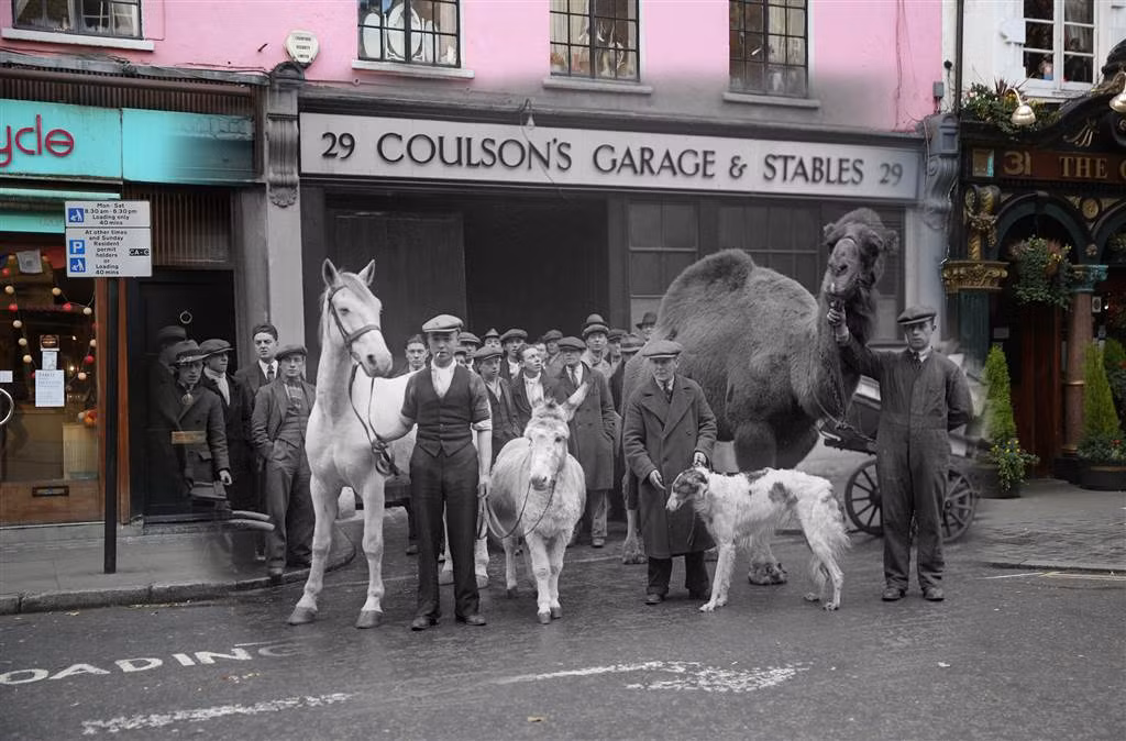 Dàn diễn viên và các con vật của vở nhạc kịch "Bài ca của chiếc trống" đứng ngoài nhà hát Drury Lane trên phố Endell, ngày 30/12/1933. Ảnh: Vintag.