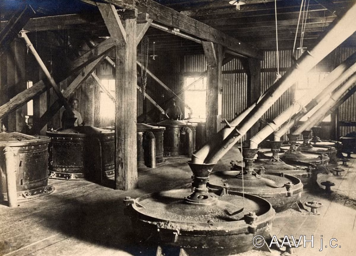 Hệ thống máy xay công nghiệp bên trong nhà máy. Ảnh: AAVH.