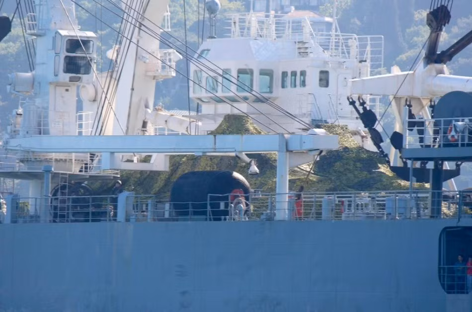 Ankara cho rằng, quân đội Nga đã che giấu 2 chiếc xe tăng dưới những tấm bạt ngụy trang trên boong tàu. Nhưng loại xe tăng nào được Nga đưa đến Syria lần này tờ báo Thổ Nhĩ Kỳ đã không nói đến. Tuy nhiên theo những hình ảnh được công bố, giới quân sự của Thổ Nhĩ Kỳ cho rằng rất có thể đây là phiên bản nâng cấp của dòng tăng T-72B là T-72B3.