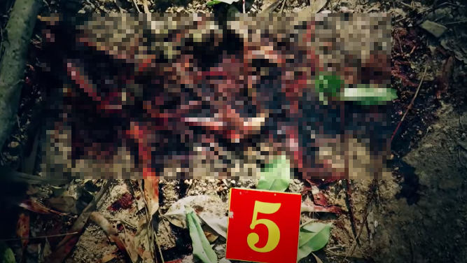 Các điều tra viên đã có những nhận định sơ bộ, nạn nhân đã đi xe máy vào hiện trường. Tại hiện trường, phát hiện nhiều dấu vết máu bám dính trên lá cây bạch đàn và dưới nền đất cây cỏ bị dập nát theo hướng tới khu vực tử thi.