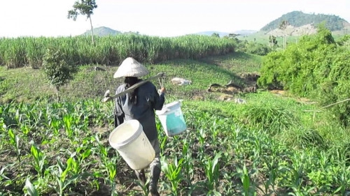 Hanh trinh pha an: Bien be gai thanh “bup be tinh duc” roi sat hai
