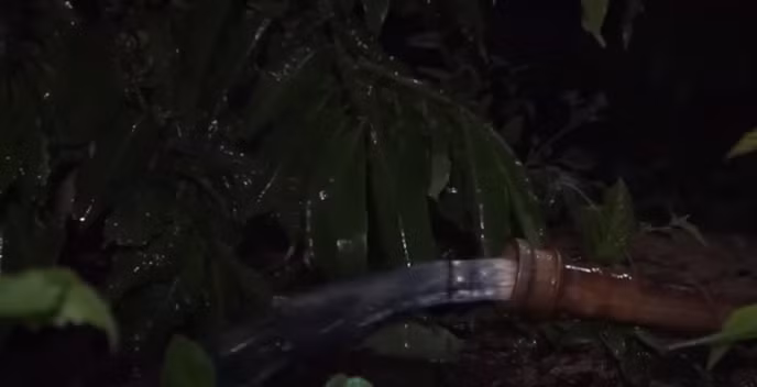 Hanh trinh pha an: Xac nguoi phu nu bi hiep dam, giau xuong gieng