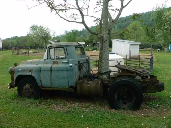 Bị một chiếc xe tải bỏ hoang cản trở nhưng cái cây ở Syria, Virginia vẫn phát triển như bình thường.