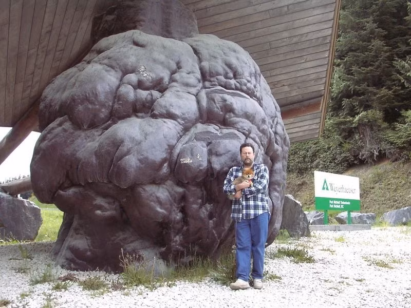 Khai thác gỗ là ngành công nghiệp chính của thị trấn Port McNeill và những người thợ mộc nơi đây rất tự hào với hai chiếc “mụn cóc” khổng lồ này.