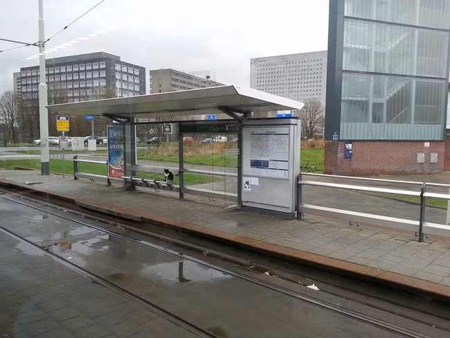 Mọi người đều yêu quý chú mèo này và thường cho nó đồ ăn.