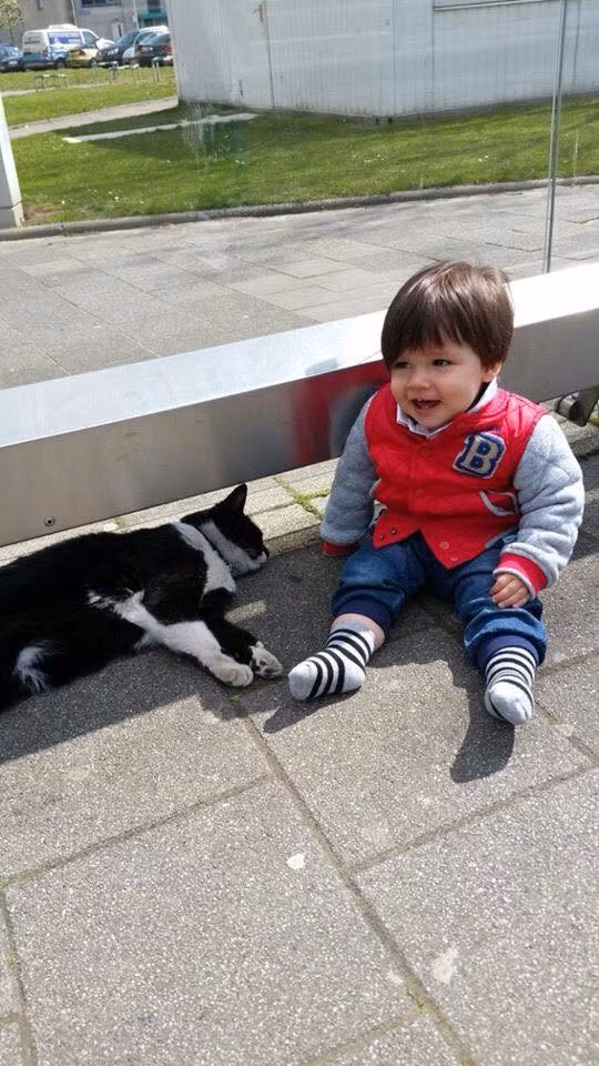 Dù mưa hay nắng, Ake luôn quanh quẩn bên những người bạn đồng hành đáng yêu của mình,