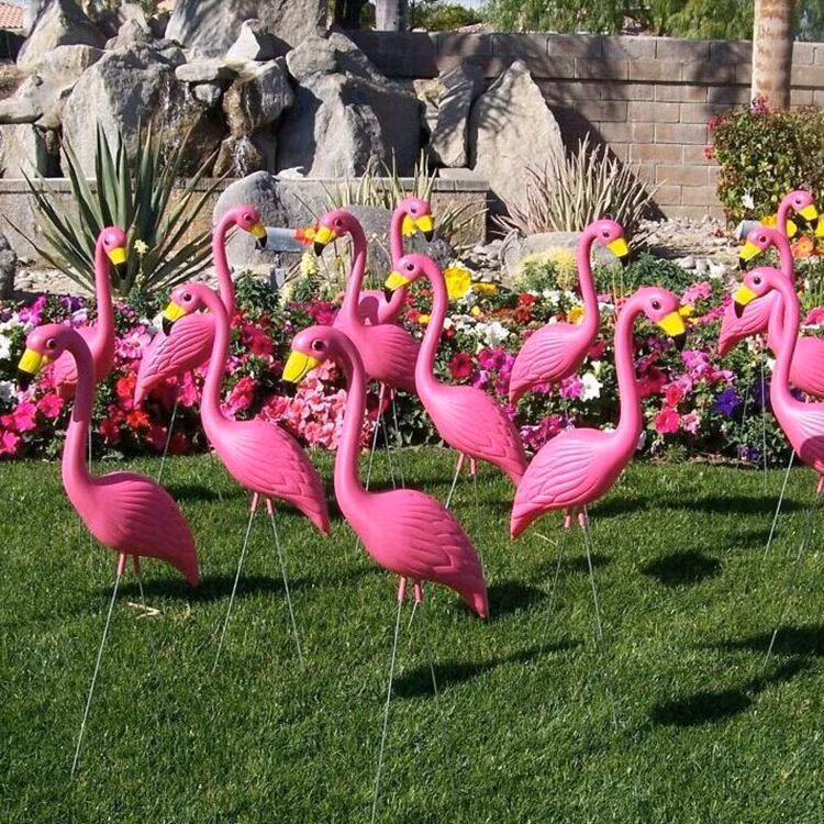 Ở Mỹ, số lượng chim hồng hạc bằng nhựa còn nhiều hơn cả chim hồng hạc thật.