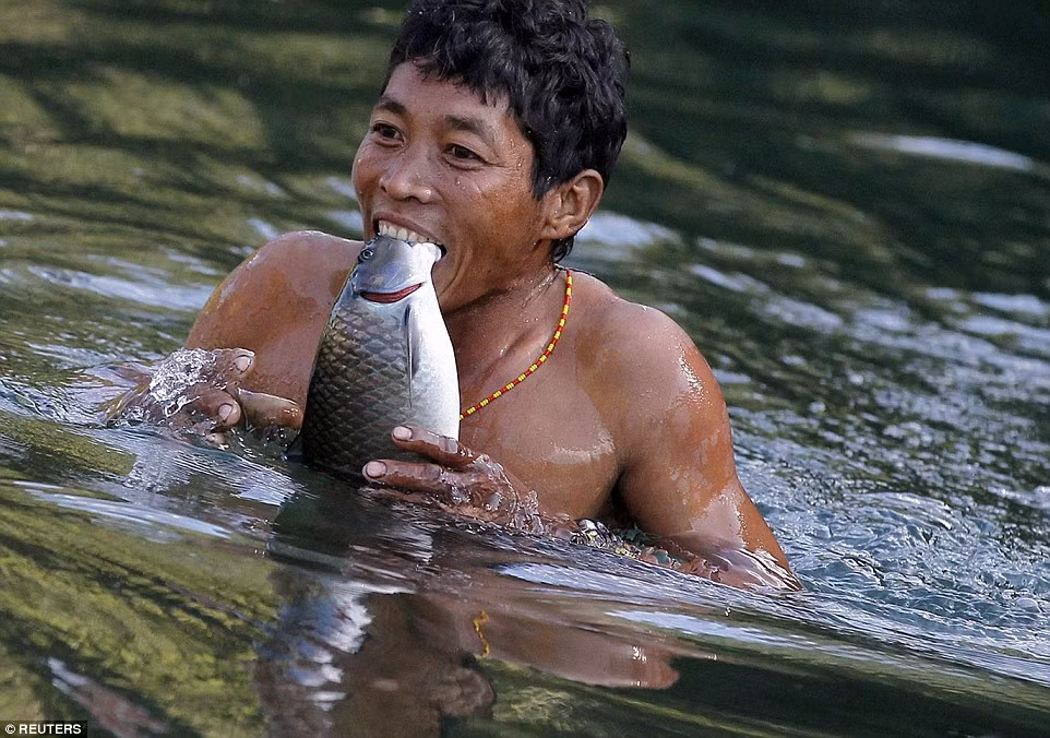 Trước đây, người Naga đánh bắt cá bằng lưới hoặc nghiền lá cây thuốc độc thả vào nước để cá nổi lên nhưng bây giờ họ đã chế được một số loại thuốc nổ thay thế. 