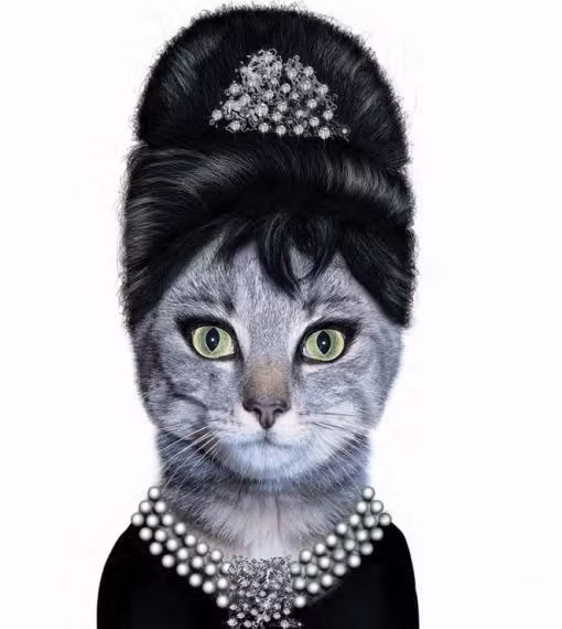 Diễn viên nổi tiếng Audrey Hepburn.