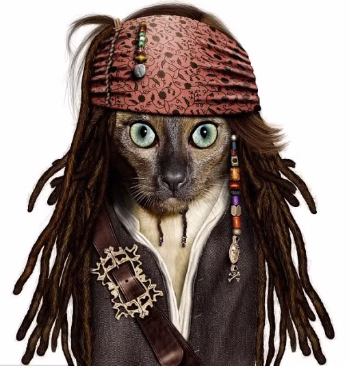 Thuyền trưởng Jack Sparrow huyền thoại của loạt phim “Cướp biển vùng Caribe”.