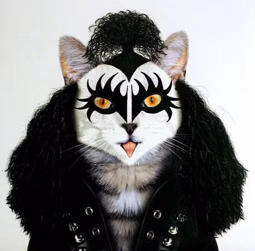 Ngôi sao nhạc rock Gene Simmons dưới hình dạng một chú mèo.