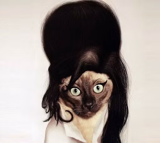 Kiểu tóc huyền thoại của nữ ca sĩ nhạc sĩ nổi tiếng của Anh được gắn lên khuôn mặt mèo hết sức đáng yêu. Amy Winehouse