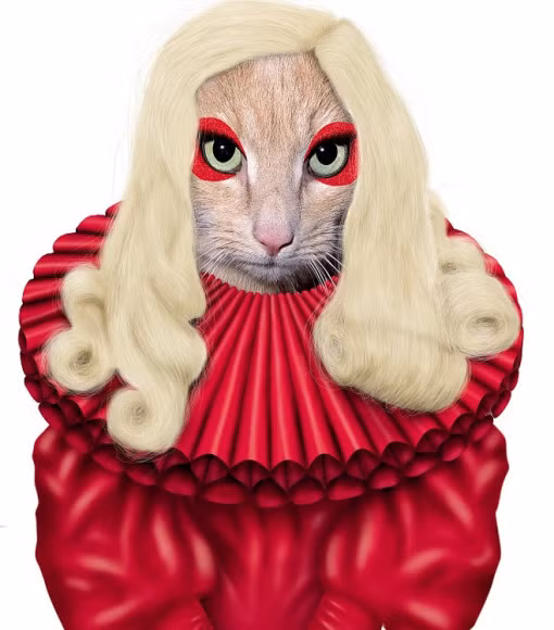 Thời trang không thể dị hơn của Lady Gaga.