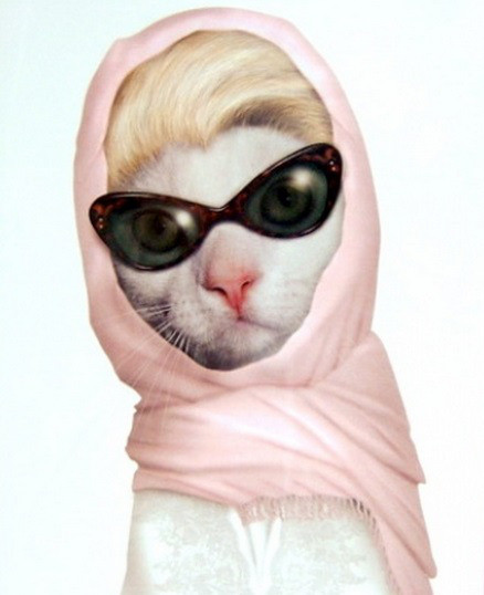 Kiểu quàng khăn, đeo kính không thể trộn lẫn của Grace Kelly.