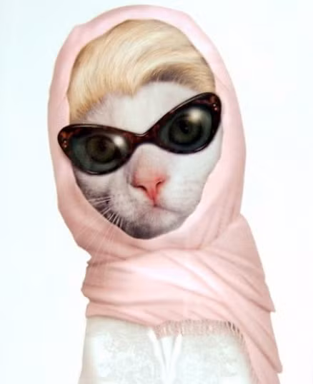 Kiểu quàng khăn, đeo kính không thể trộn lẫn của Grace Kelly.