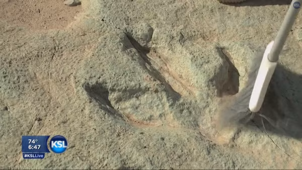 Vào tháng 8/2014, một nhà leo núi trên con đường chinh phục thử thách của mình đã phát hiện dấu chân của khủng long ở sa mạc Moab, Utah có niên đại 125 triệu năm.