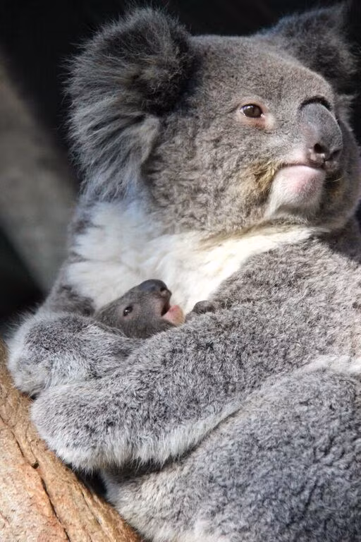 Lại một ngày mới đến với hai mẹ con.