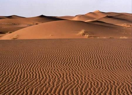 Năm 1979, ở sa mạc Sahara đã có tuyết rơi.