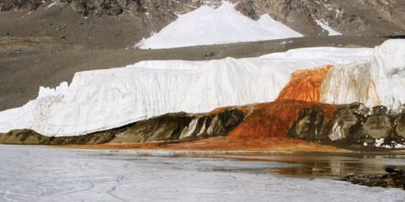 “Thác máu” ở thung lũng khô McMurdo của Nam Cực từ lâu đã trở thành một bí ẩn đánh đố nhân loại. Ban đầu, người ta cho rằng màu đỏ của thác nước này là do tảo đỏ tạo thành. Tuy nhiên, sau đó các chuyên gia đã giải thích được hiện tượng này là do sắt oxit gây nên.